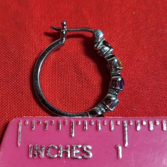 Multi Gemstone Stainless Steel Hoop Earrings - Picture 5 of 5